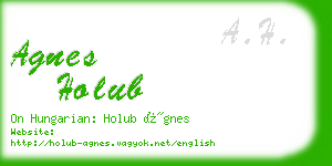 agnes holub business card